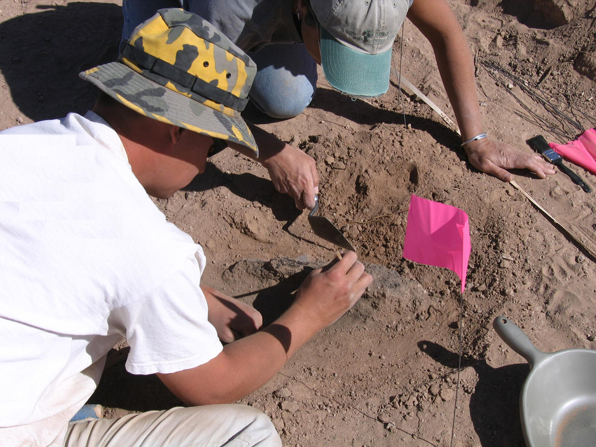 archaeology