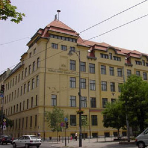 fazekasgimi formazott